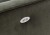 10259_20.jpg