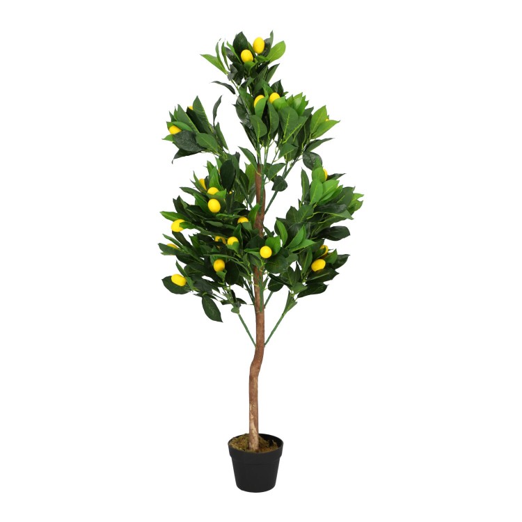 5ed460610a414e5ba167973080445fdc