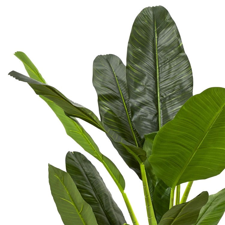 ead4dbbc14af039ee7a7844e2a520eb4