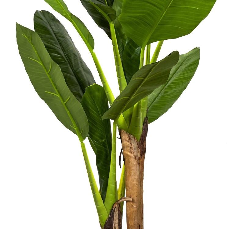 c1f11ae6844209700719713da3e085ce