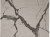 statuario-light-gray 1.jpg