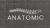 Anatomic-logo.webp