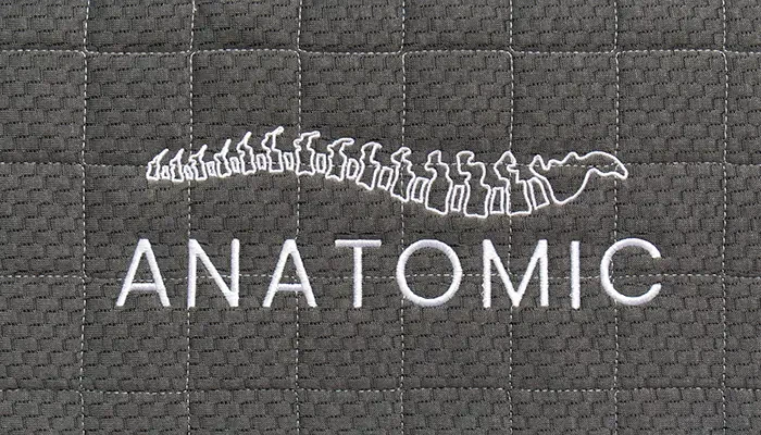 Anatomic-logo.webp