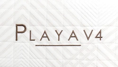 Playa-Logo.webp