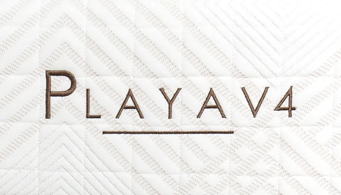 Playa-Logo.webp