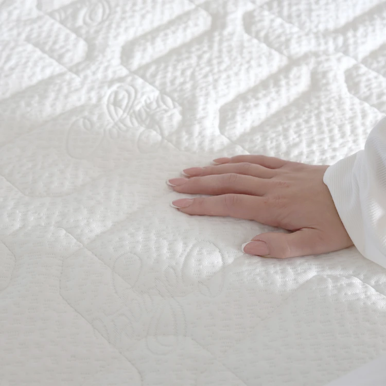 collagen-detail_1 (1).jpg