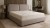dante-1.jpg