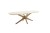 JEFFERSON_ET_Wildeiche_ovale_Tischform_mit_schweizer_Kante_Holzgestell_Spiderform_JE14_16_18_20_22_24_TSWE_Seitenansicht_EB_9689_25_fein.jpg