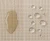 1_11zon11-2.webp