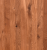 Kolor-03.png