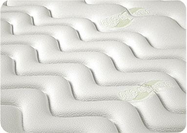 pokrowiec aloe vera.jpg