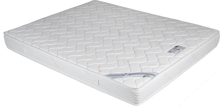 New Memory_20 (1).png