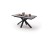 Nagano_Gestell_schwarz_matt_Platte_Holzoptik_barrique_mit_Deko_7555_18_grob.jpg